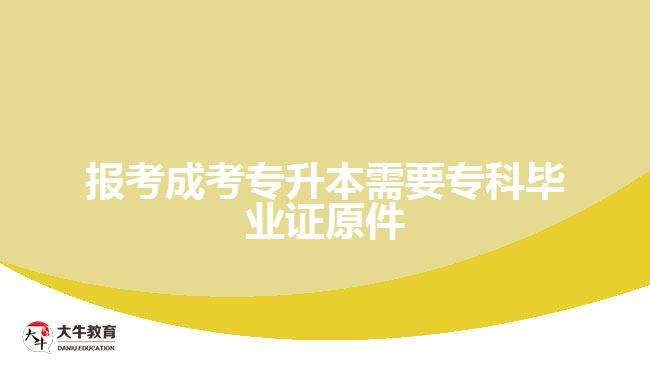 成考專升本報(bào)考
