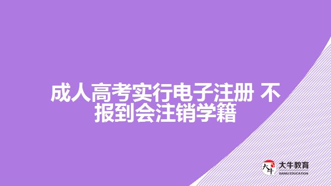 成人高考實(shí)行電子注冊(cè) 不報(bào)到會(huì)注銷(xiāo)學(xué)籍