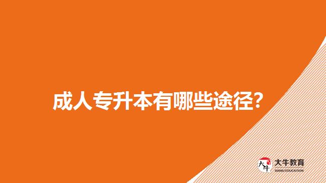 成人專升本有哪些途徑？