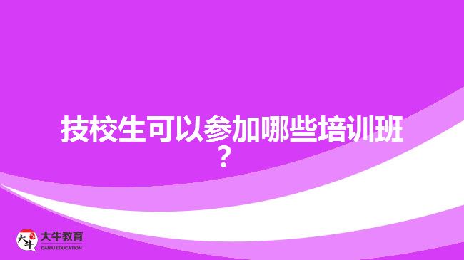 技校生可以參加哪些培訓(xùn)班？