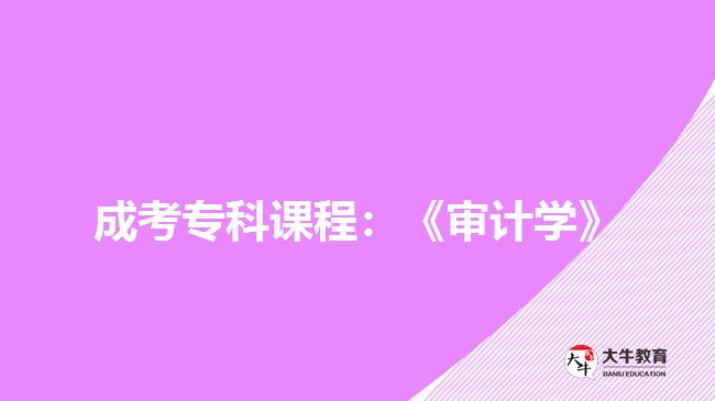 成考?？普n程：《審計(jì)學(xué)》