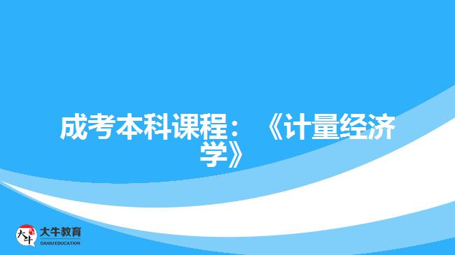 成考本科課程：《計量經(jīng)濟(jì)學(xué)》
