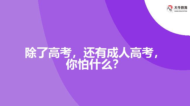 除了高考，還有成人高考，你怕什么？
