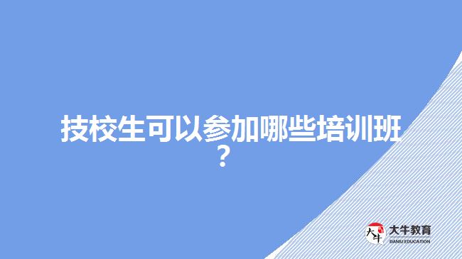 技校生可以參加哪些培訓(xùn)班？
