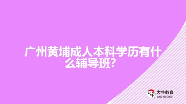 廣州黃埔成人本科學(xué)歷有什么輔導(dǎo)班？