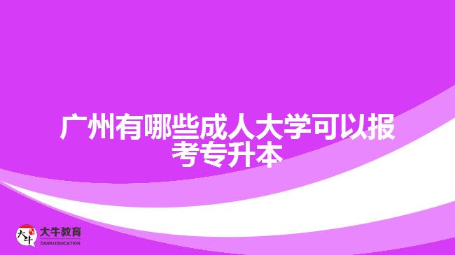 廣州有哪些成人大學(xué)可以報考專升本？