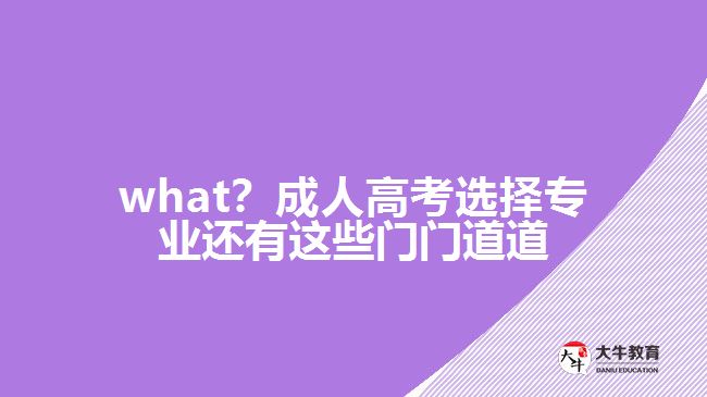 what？成人高考選擇專業(yè)還有這些門門道道
