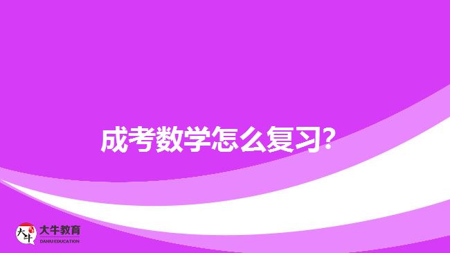成考數學怎么復習？