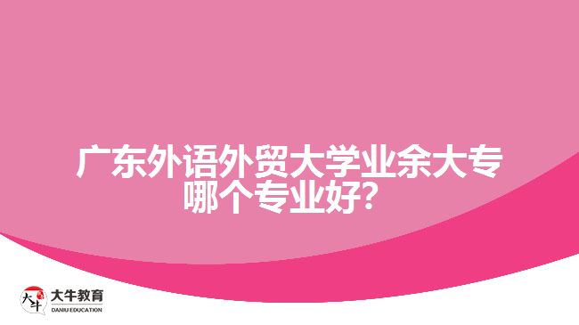 廣東外語外貿(mào)大學(xué)業(yè)余大專哪個專業(yè)好？