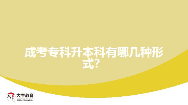 成人?？粕究朴心膸追N形式？