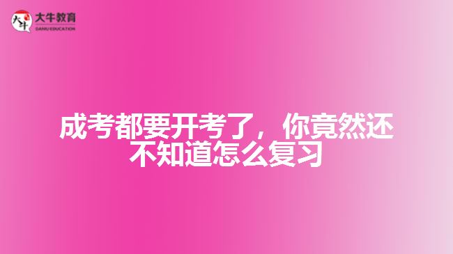 成考都要開考了，你竟然還不知道怎么復(fù)習(xí)