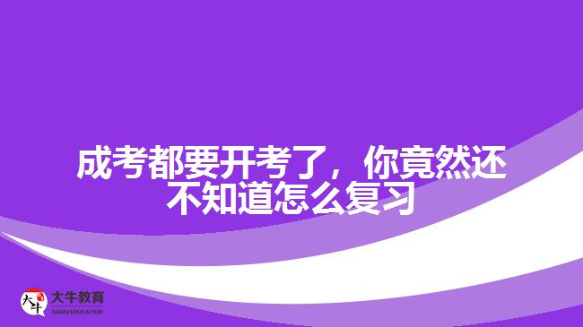 成考都要開考了，你竟然還不知道怎么復(fù)習(xí)