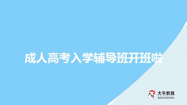 成人高考入學輔導班開班啦