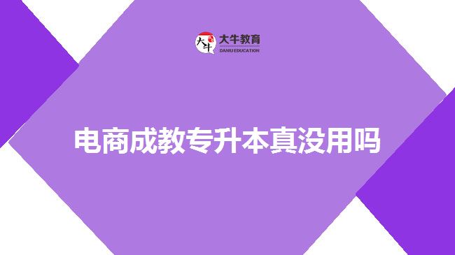 電商成教專升本真沒(méi)用嗎