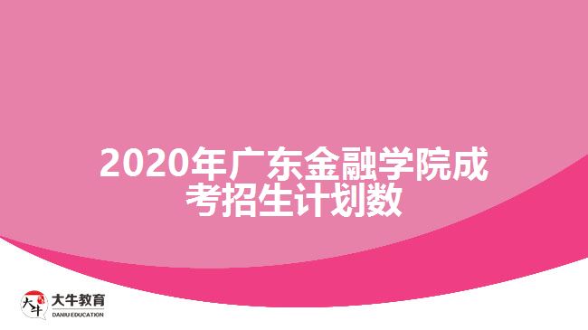 2020年廣東金融學(xué)院成考招生計(jì)劃數(shù)