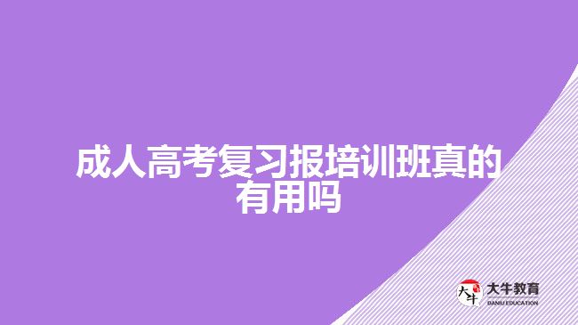 成人高考復(fù)習報培訓(xùn)班真的有用嗎