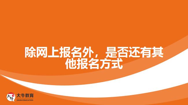 除網(wǎng)上報(bào)名外，是否還有其他報(bào)名方式