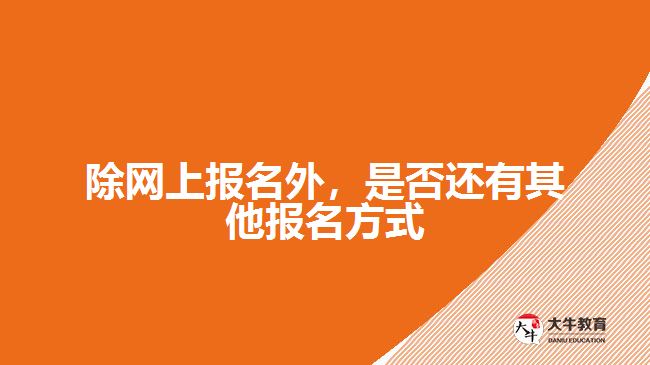 除網(wǎng)上報名外，是否還有其他報名方式