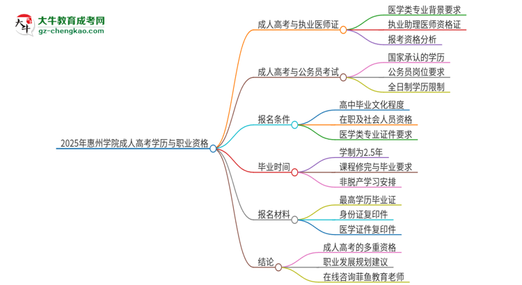 2025年惠州學(xué)院的成人高考學(xué)歷能報(bào)考執(zhí)業(yè)醫(yī)師證嗎？思維導(dǎo)圖
