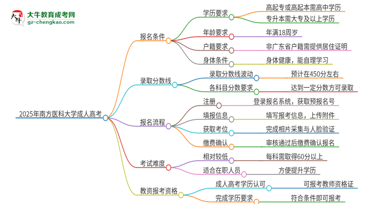 2025年南方醫(yī)科大學(xué)成人高考能考教資嗎？思維導(dǎo)圖