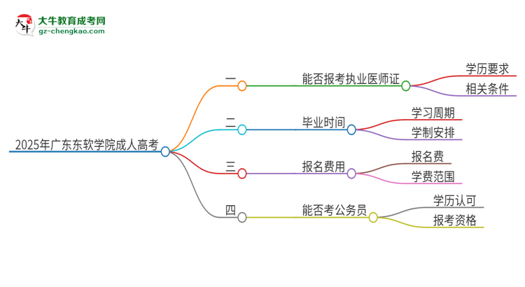 2025年廣東東軟學(xué)院的成人高考學(xué)歷能報(bào)考執(zhí)業(yè)醫(yī)師證嗎？思維導(dǎo)圖