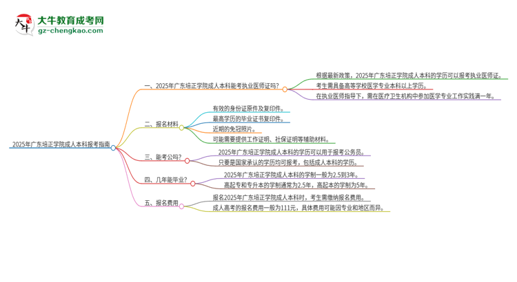 2025年廣東培正學(xué)院成人本科可否報考執(zhí)業(yè)醫(yī)師資格證？思維導(dǎo)圖