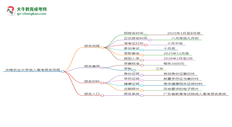 華南農(nóng)業(yè)大學成考人力資源管理專業(yè)2025年報名流程思維導圖