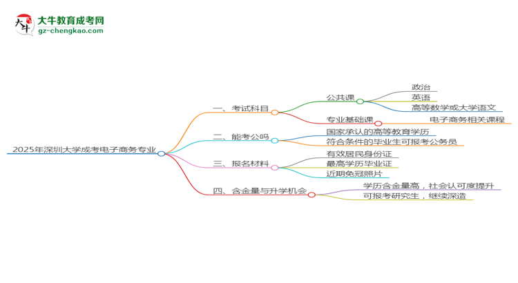 2025年深圳大學(xué)成考電子商務(wù)專業(yè)入學(xué)考試科目有哪些？思維導(dǎo)圖