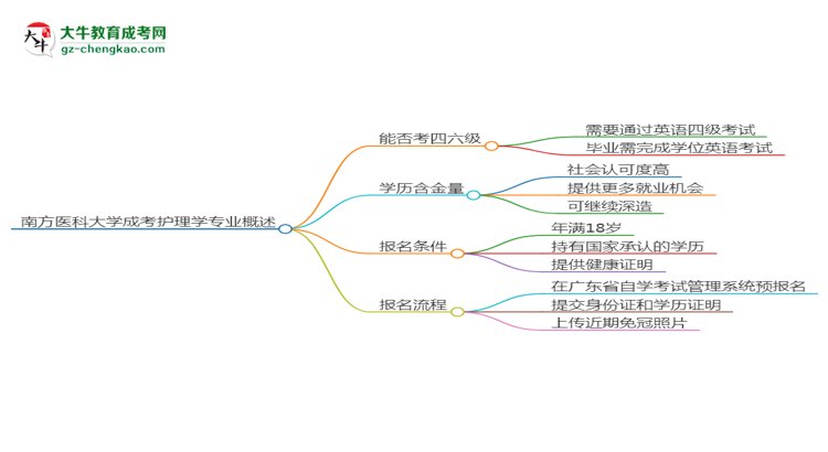 南方醫(yī)科大學(xué)2025年成考護(hù)理學(xué)專業(yè)生可不可以考四六級(jí)？思維導(dǎo)圖