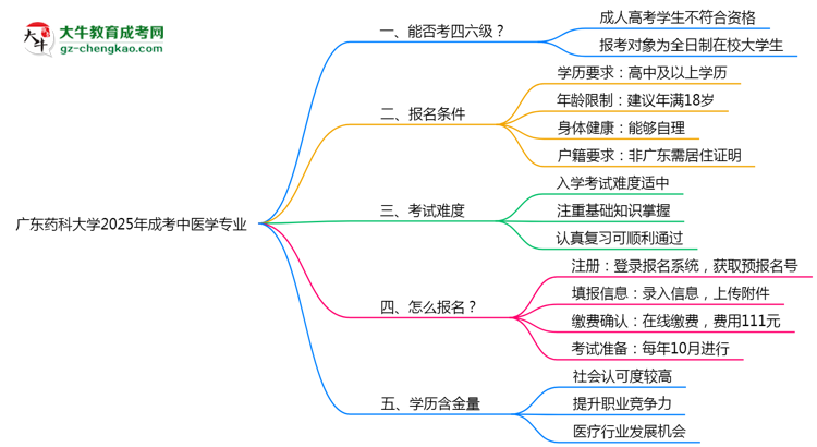廣東藥科大學2025年成考中醫(yī)學專業(yè)生可不可以考四六級？思維導圖
