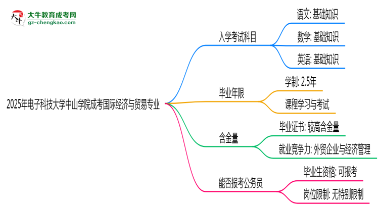 2025年電子科技大學(xué)中山學(xué)院成考國際經(jīng)濟與貿(mào)易專業(yè)入學(xué)考試科目有哪些？思維導(dǎo)圖