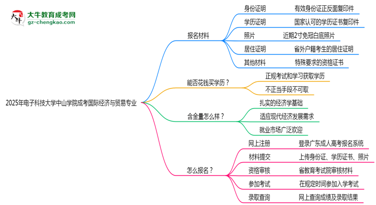 2025年電子科技大學(xué)中山學(xué)院成考國際經(jīng)濟(jì)與貿(mào)易專業(yè)報(bào)名材料需要什么？思維導(dǎo)圖