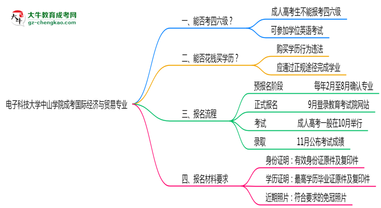 電子科技大學(xué)中山學(xué)院2025年成考國(guó)際經(jīng)濟(jì)與貿(mào)易專業(yè)生可不可以考四六級(jí)？思維導(dǎo)圖