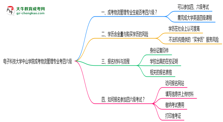 電子科技大學(xué)中山學(xué)院2025年成考物流管理專業(yè)生可不可以考四六級？思維導(dǎo)圖