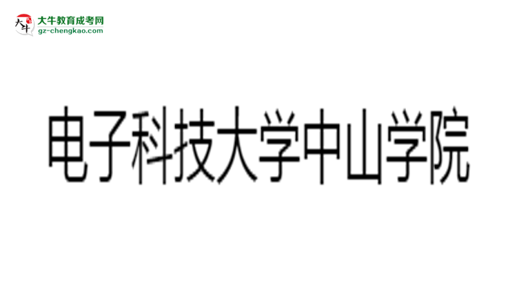 電子科技大學(xué)中山學(xué)院2025年成考財(cái)務(wù)管理專業(yè)生可不可以考四六級？思維導(dǎo)圖