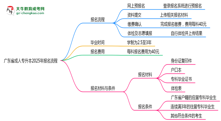 廣東省成人專升本2025年報名流程思維導圖