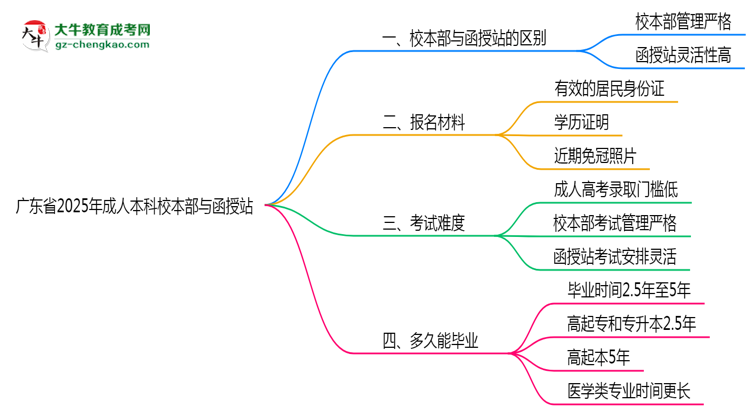 廣東省2025年成人本科校本部和函授站哪個(gè)更好？思維導(dǎo)圖