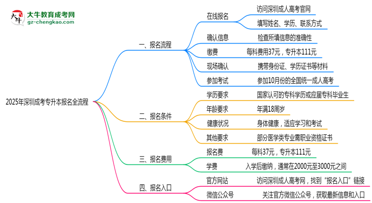3分鐘讀懂：2025深圳成考專(zhuān)升本本科報(bào)名全流程思維導(dǎo)圖