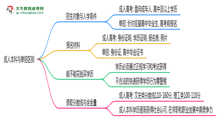 成人本科與單招區(qū)別在哪？2025年深圳考生必看對(duì)比指南思維導(dǎo)圖