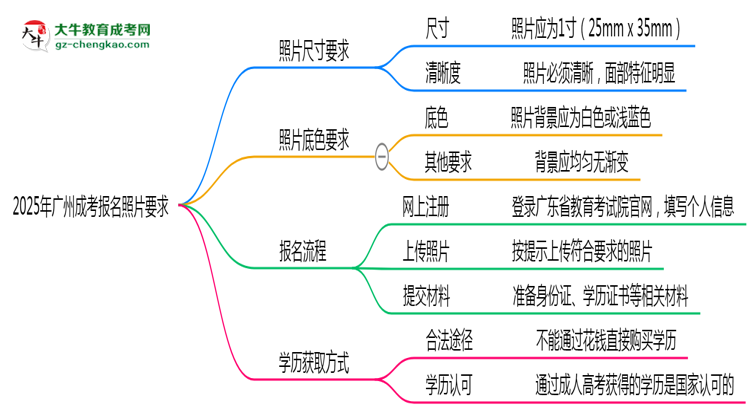 2025年廣州成考報名照片要求：尺寸+底色思維導圖