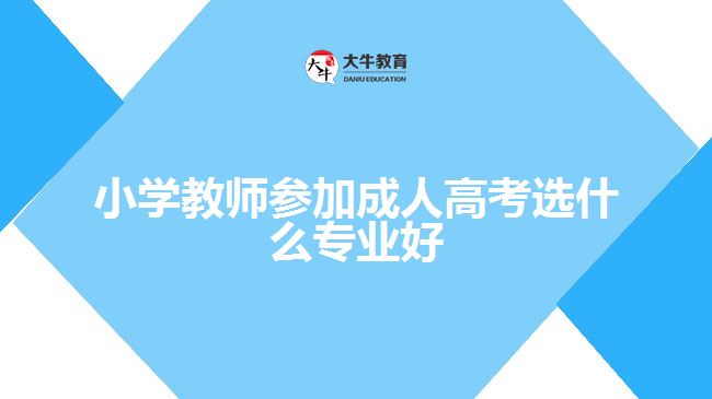 小學(xué)教師參加成人高考選什么專業(yè)好