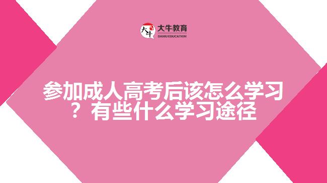 參加成人高考后該怎么學(xué)習(xí)？有些什么學(xué)習(xí)途徑