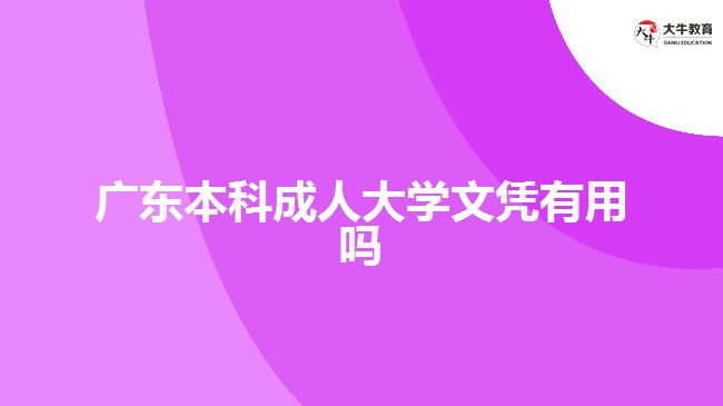 廣東本科成人大學文憑有用嗎