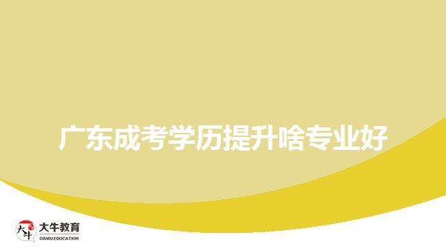 廣東成考學(xué)歷提升啥專(zhuān)業(yè)好