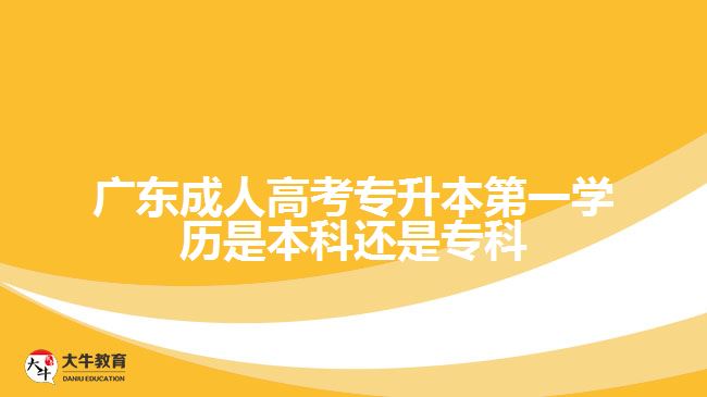 廣東成人高考專升本第一學歷是本科還是專科