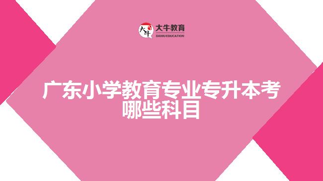 廣東小學(xué)教育專(zhuān)業(yè)專(zhuān)升本考哪些科目