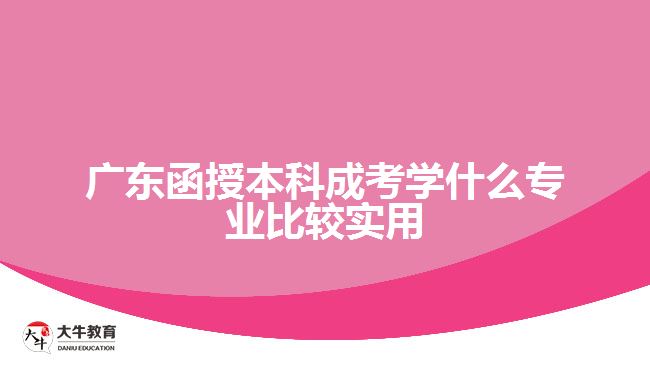 廣東函授本科成考學(xué)什么專(zhuān)業(yè)比較實(shí)用