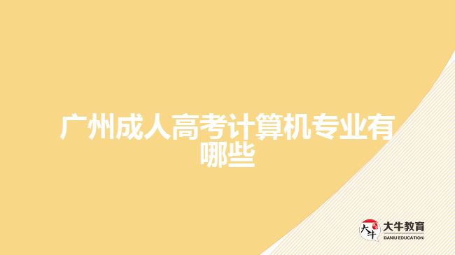 廣州成人高考計(jì)算機(jī)專業(yè)有哪些