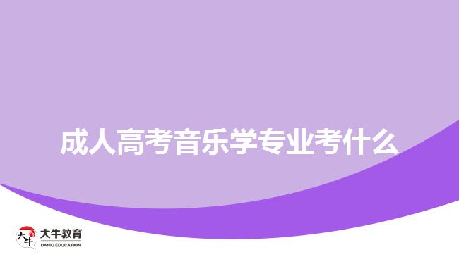 成人高考音樂(lè)學(xué)專業(yè)考什么