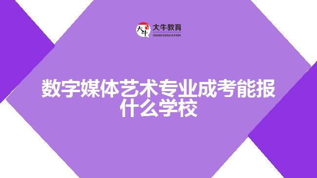 數字媒體藝術專業(yè)成考能報什么學校